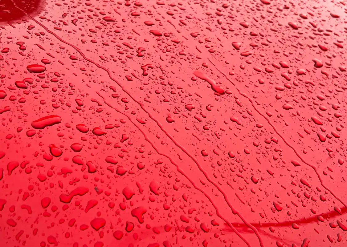 EASY GLOSS COAT NANO & PLUS 2本セット 愛車を綺麗に保つカーコーティング剤 イージーグロスコートナノ